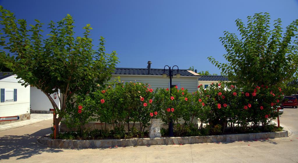 Camping Los Pinos Peniscola Luaran gambar