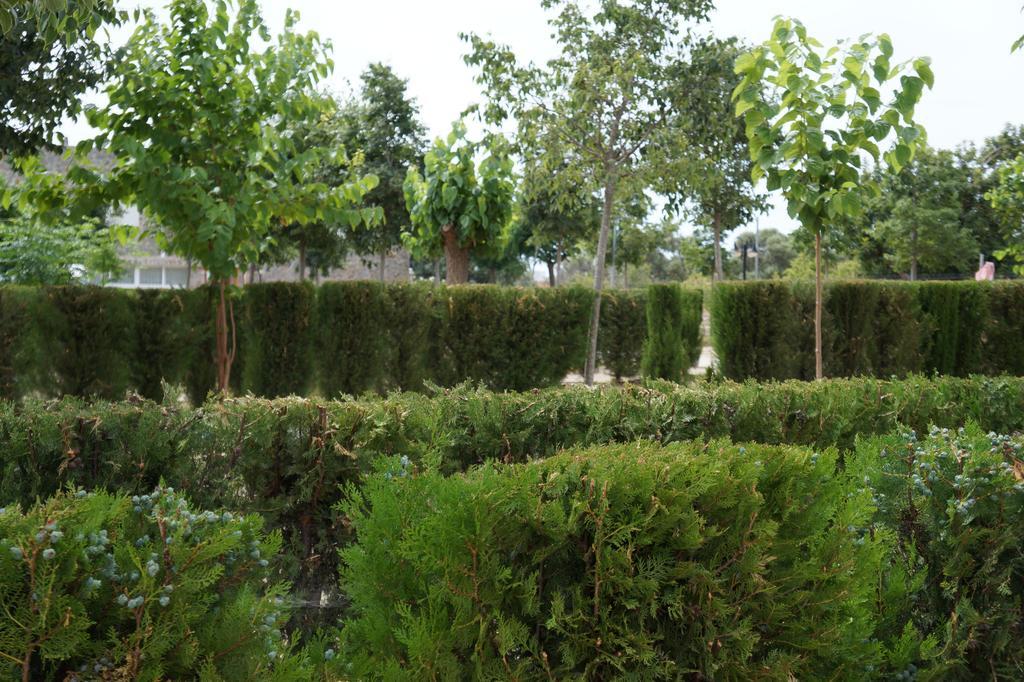Camping Los Pinos Peniscola Luaran gambar