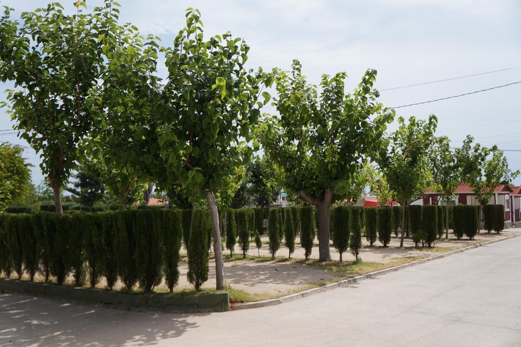 Camping Los Pinos Peniscola Luaran gambar